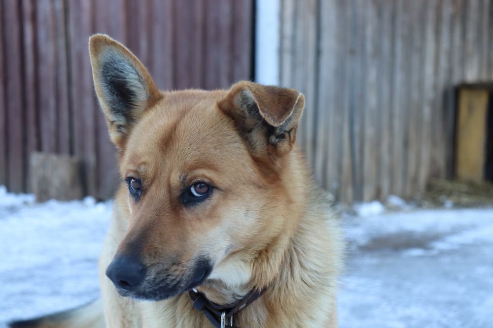 Photograph by Мария Юруть