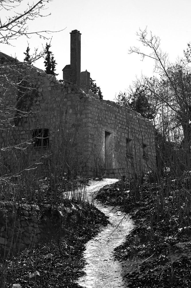 Photograph by Said Saido