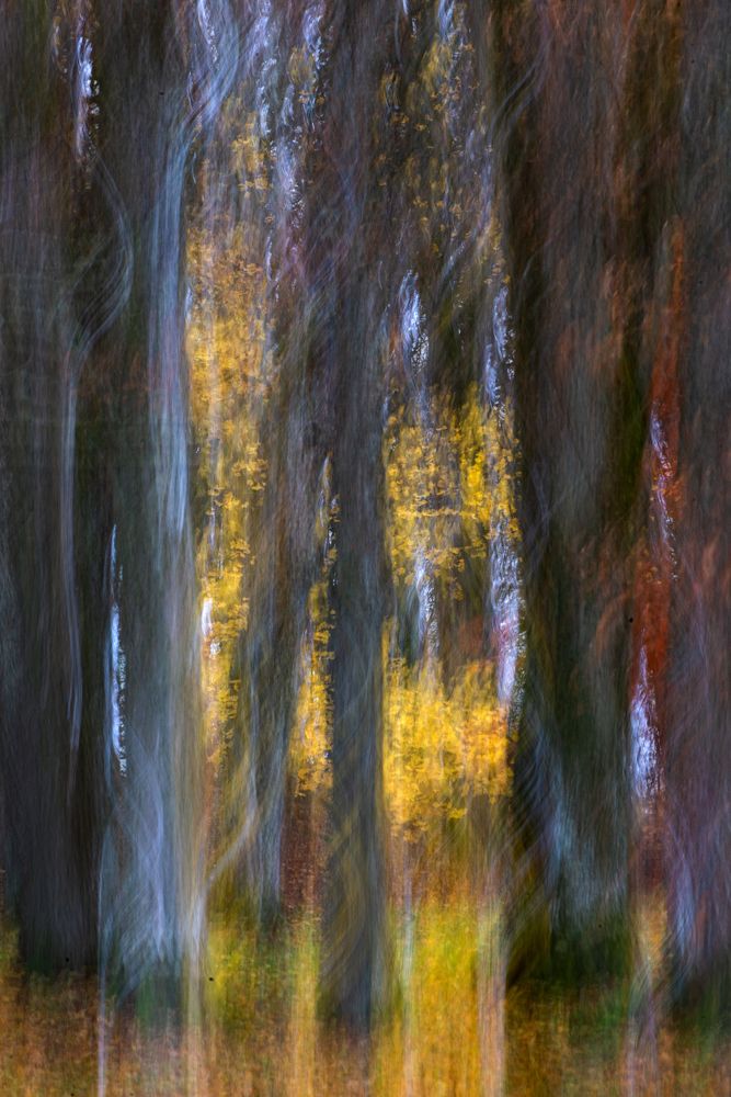 Photograph by dansiga