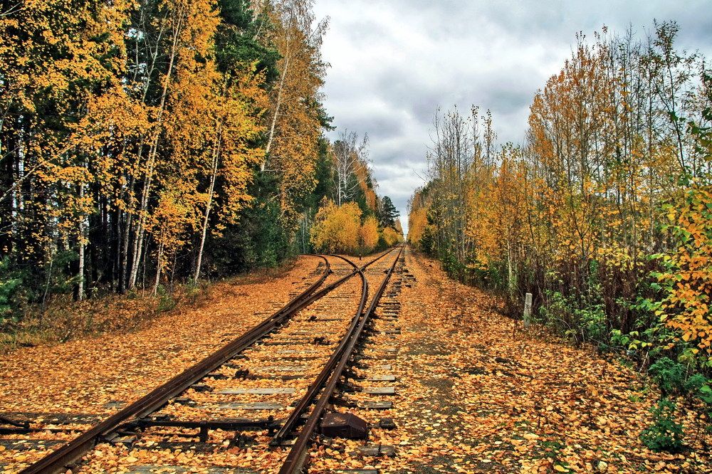 Photograph by эдуард петруша