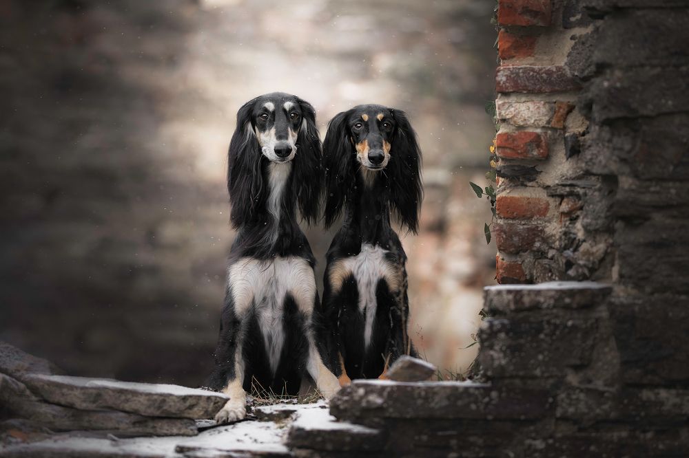 Photograph by Laura Petermans