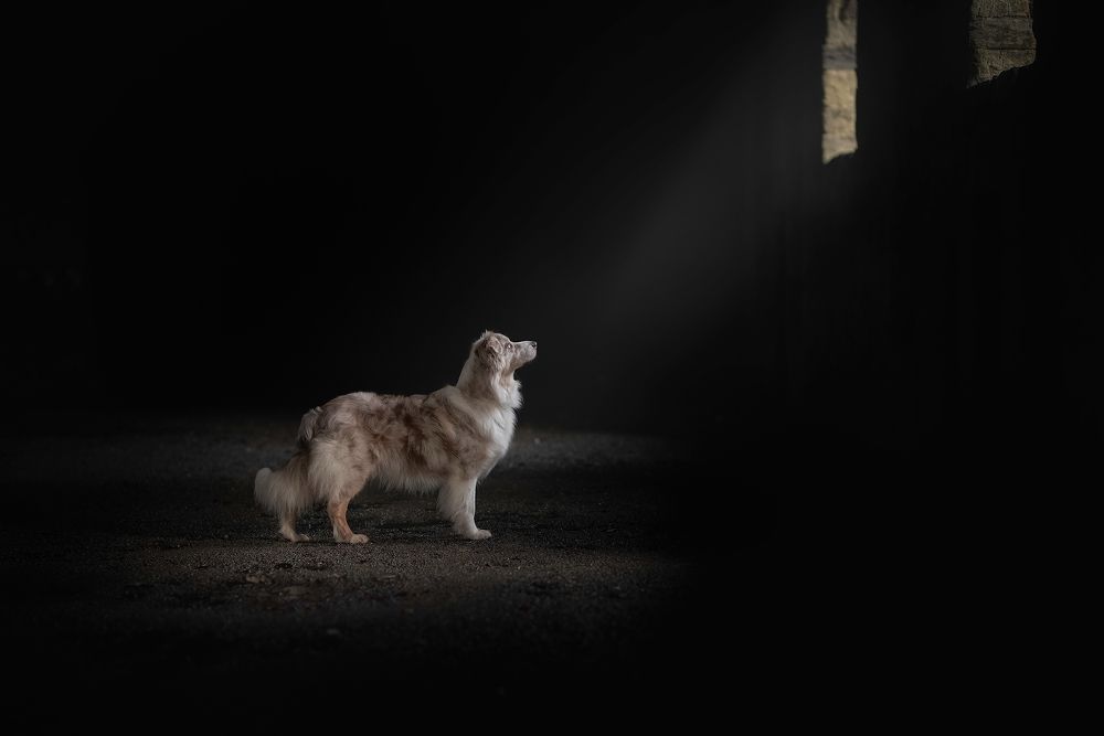 Photograph by Laura Petermans