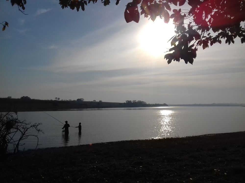 Photograph by Amanda Sant'Anna