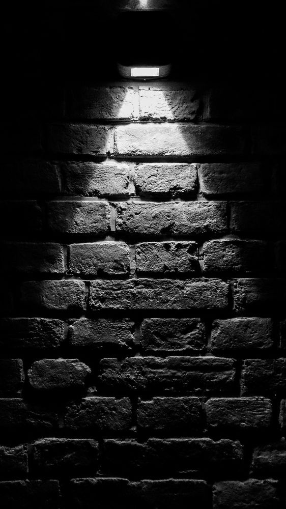 Photograph by PAVEL ARSENOVICH