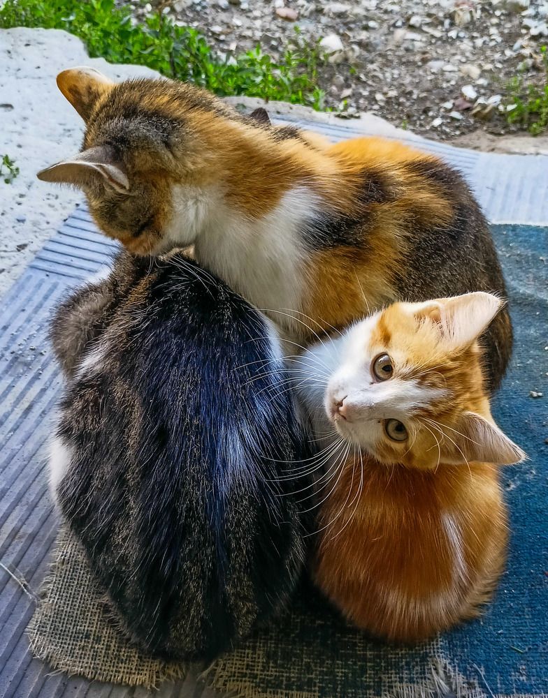 Photograph by Олег Башкуров