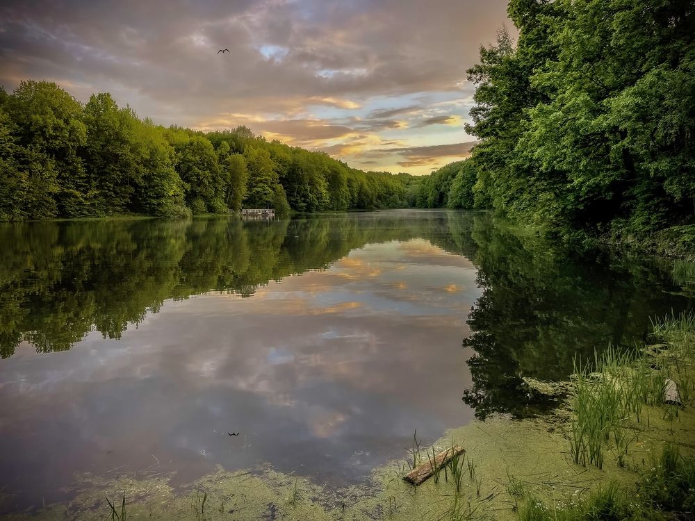 Photograph by Елена