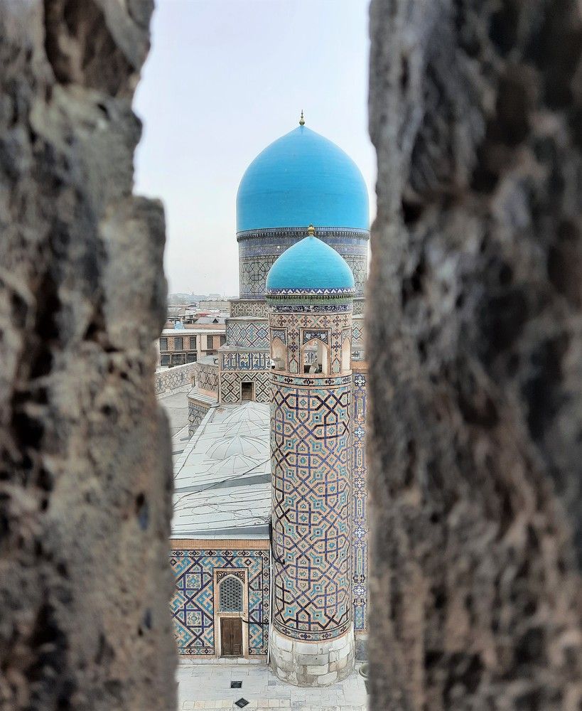 Фотография автора Елена Пикатова