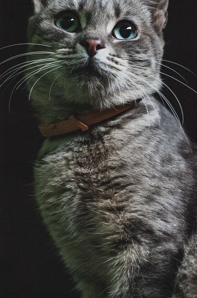 Photograph by Александр Леонов