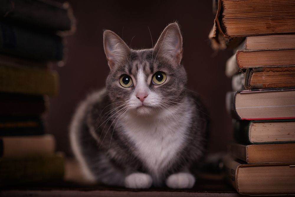 Photograph by Алексей и Юлия Дарьины