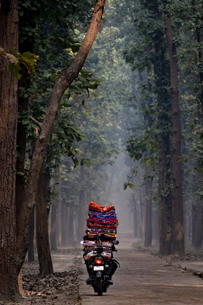 Photograph by Mukesh Tripathi