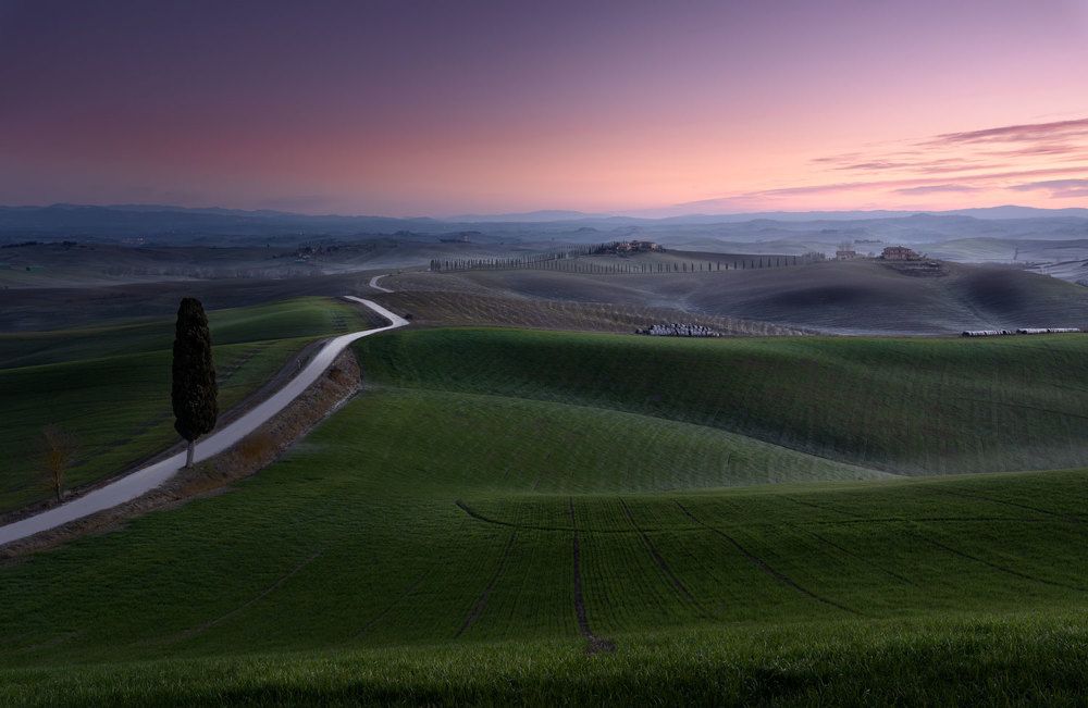 Photograph by Stefano Gelli