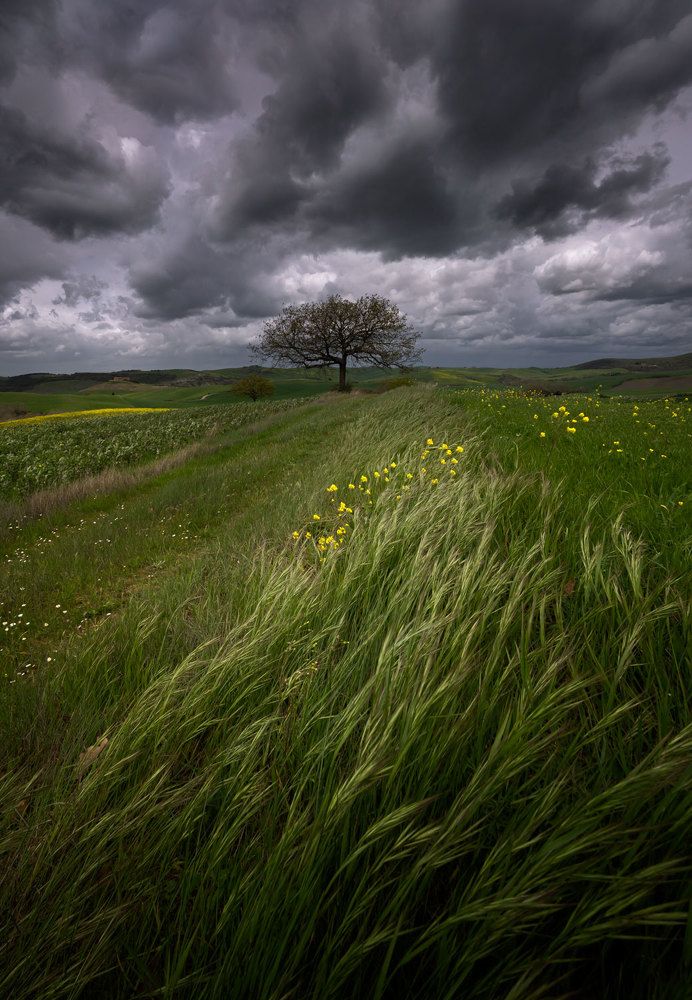 Photograph by Stefano Gelli
