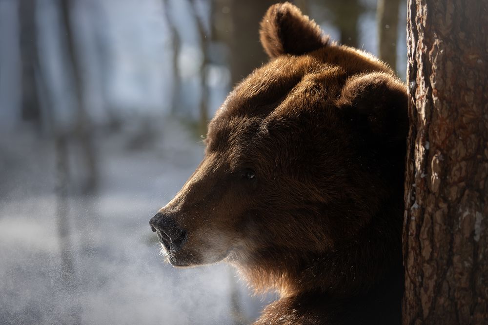 Photograph by Светлана Писарева