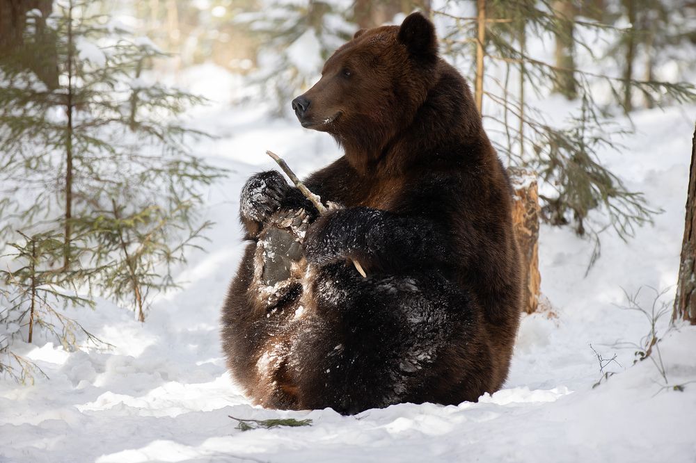 Photograph by Светлана Писарева