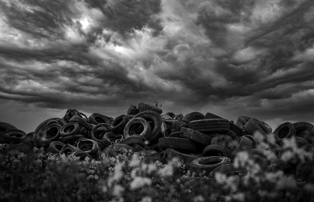 Фотография автора Damir B.