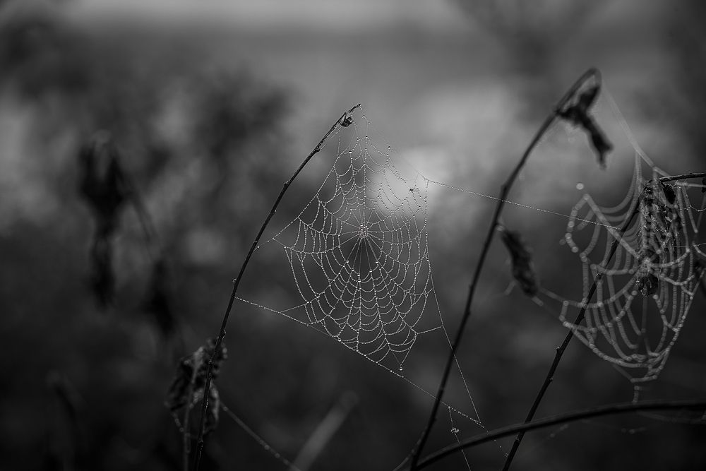 Фотография автора Damir B.