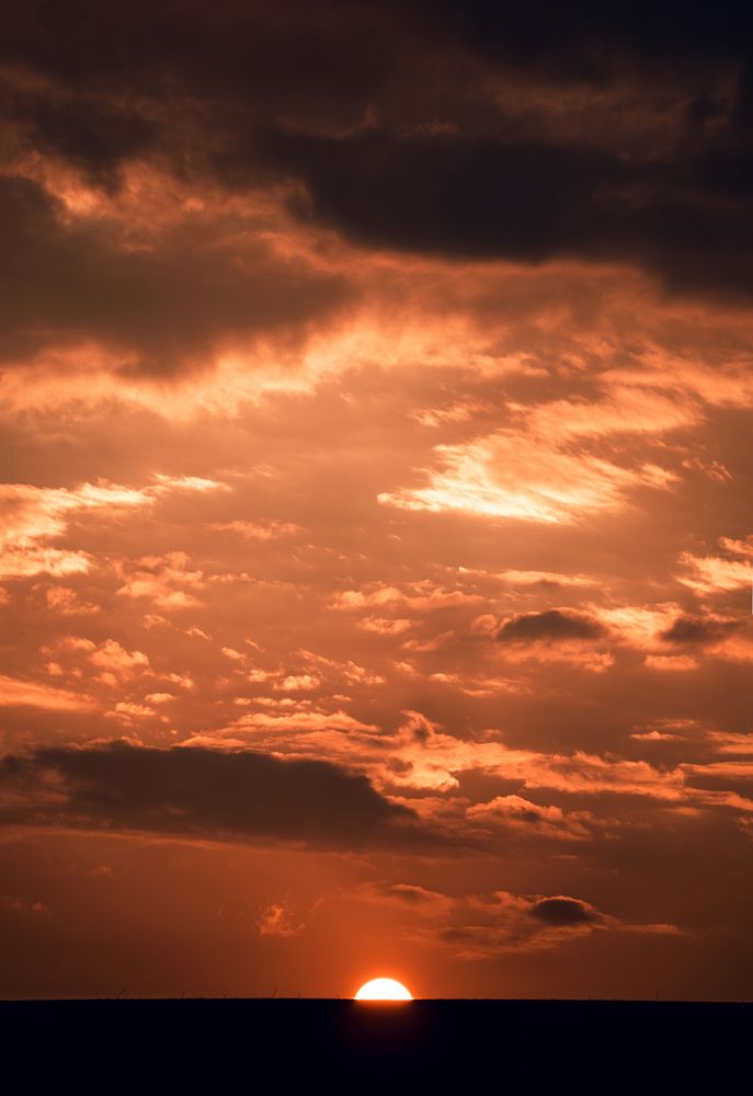 Фотография автора Oleg Suhenko