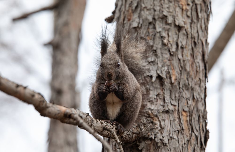 Photograph by Сергей Бойко