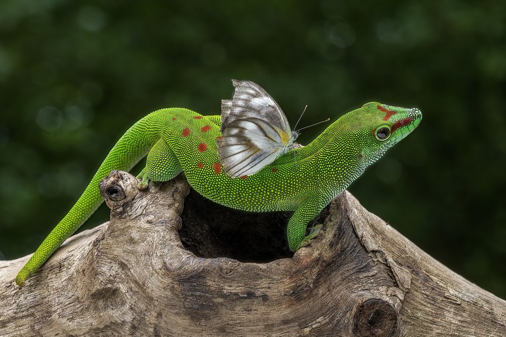 Photograph by Dzulfikri Dzulfikri