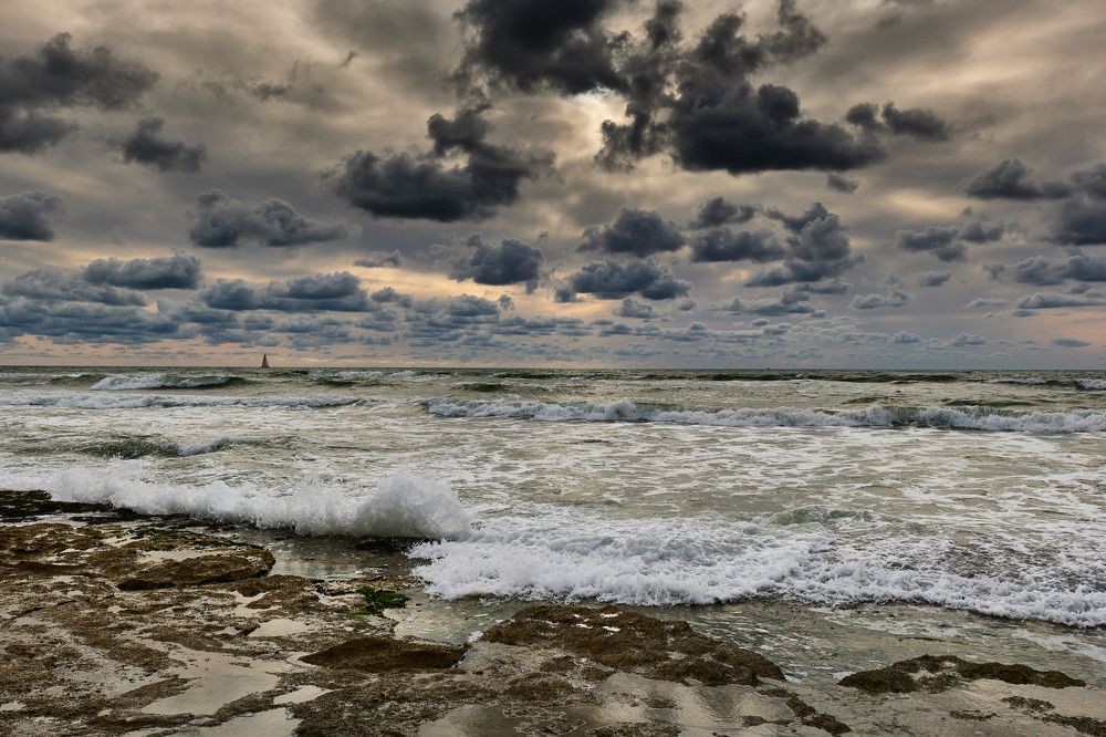 Фотография автора David Solodar