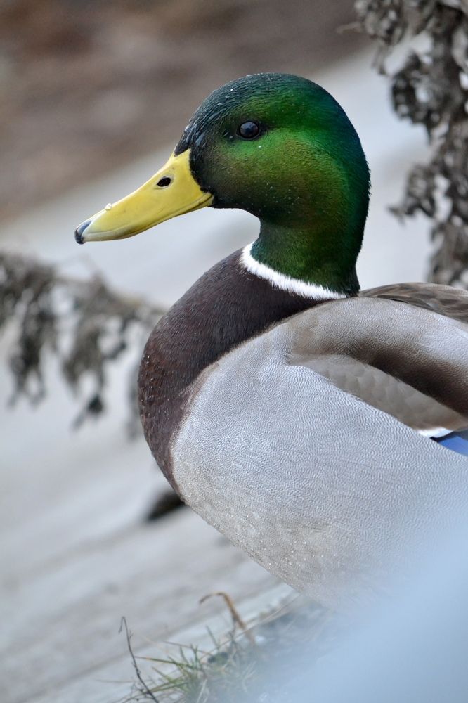 Photograph by Александра