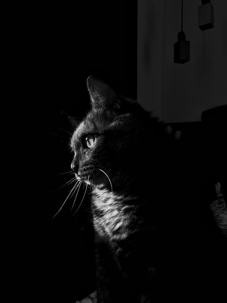 Photograph by Ирина Щербакова