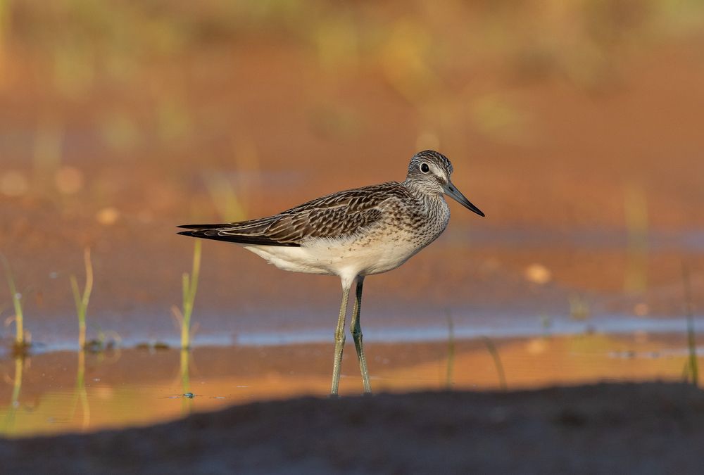 Photograph by Павел Краснослободцев