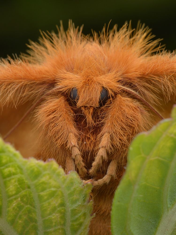 Photograph by Yusak priyanto