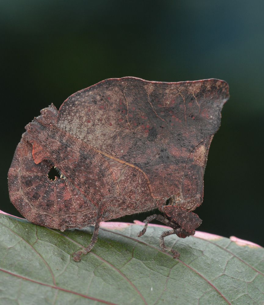 Photograph by Yusak priyanto