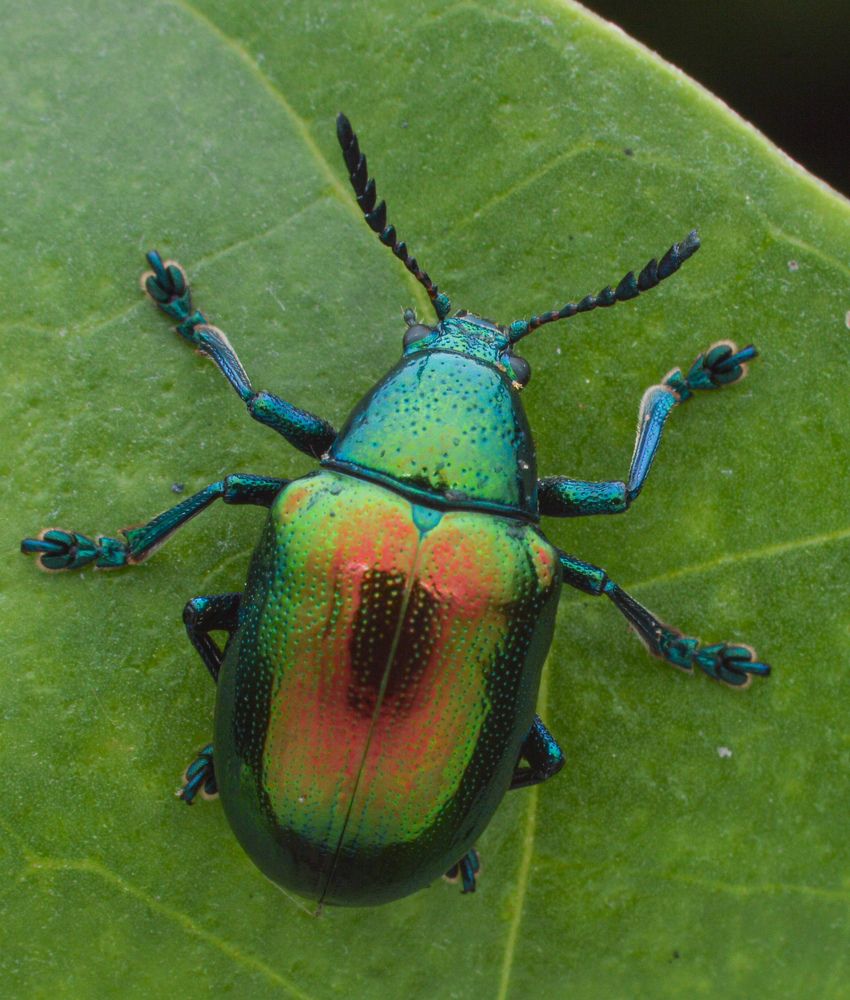 Photograph by Yusak priyanto