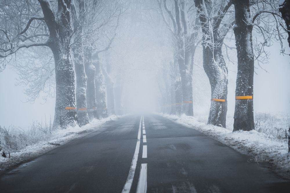 Photograph by Максим Мальцев