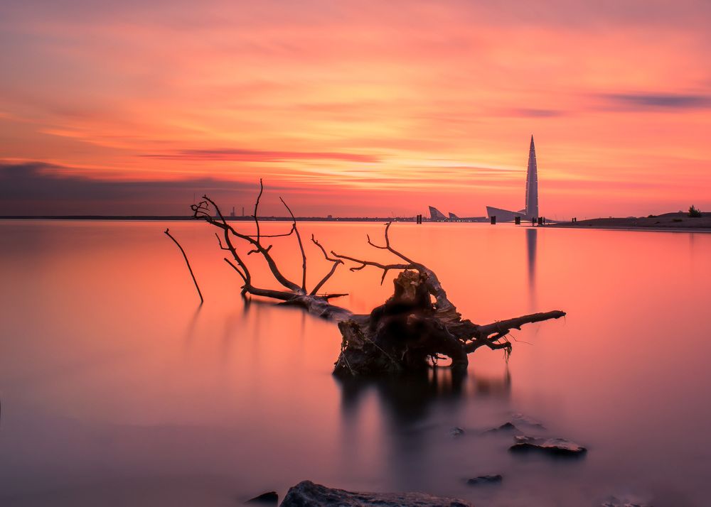 Photograph by Дьяченко Алёна