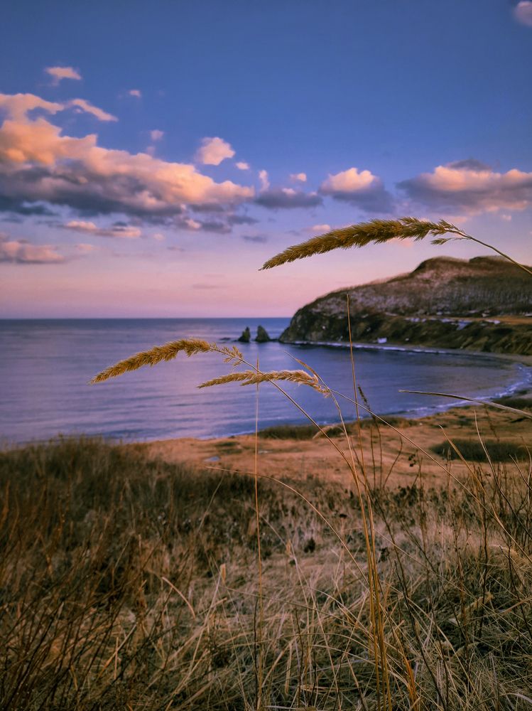 Photograph by Наталья Чередниченко