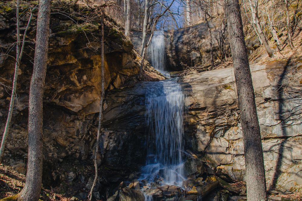 Фотография автора OXANA MARSOVA