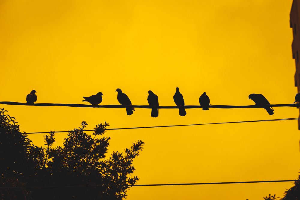 Photograph by Денис Турдиев