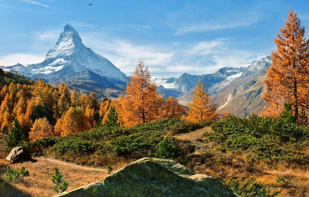 Photograph by Elena Wymann