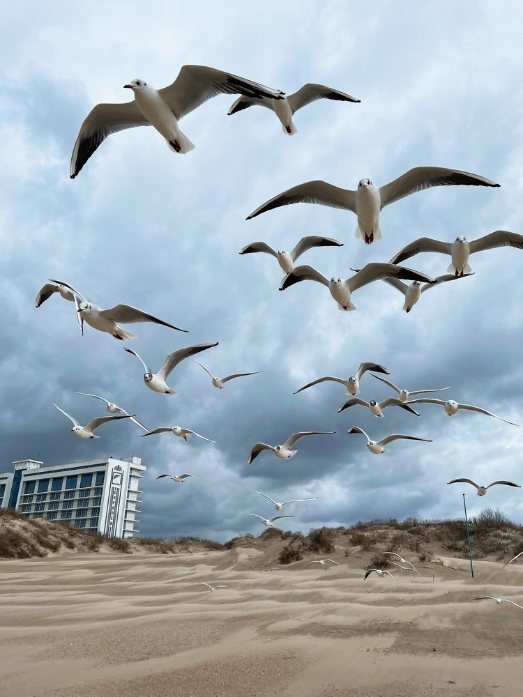 Photograph by Яна Сел