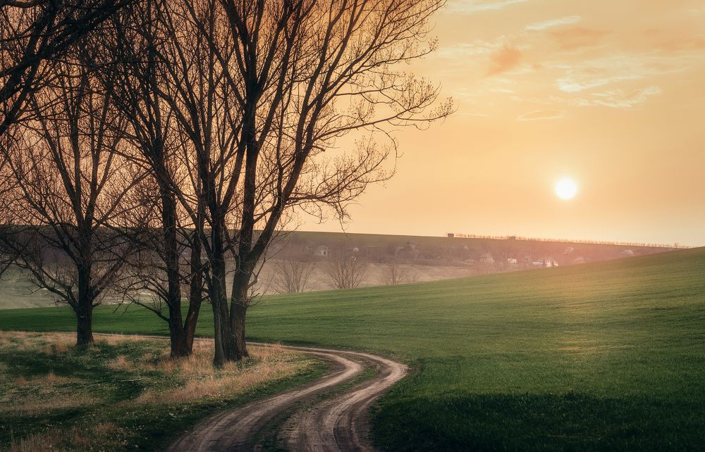 Фотография автора 