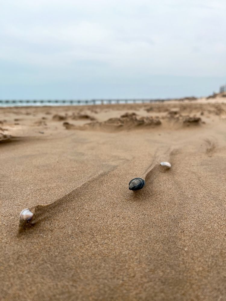 Photograph by Яна Сел