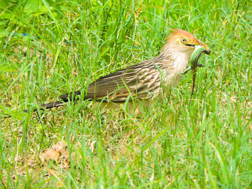 Photograph by Rodrigues Helena