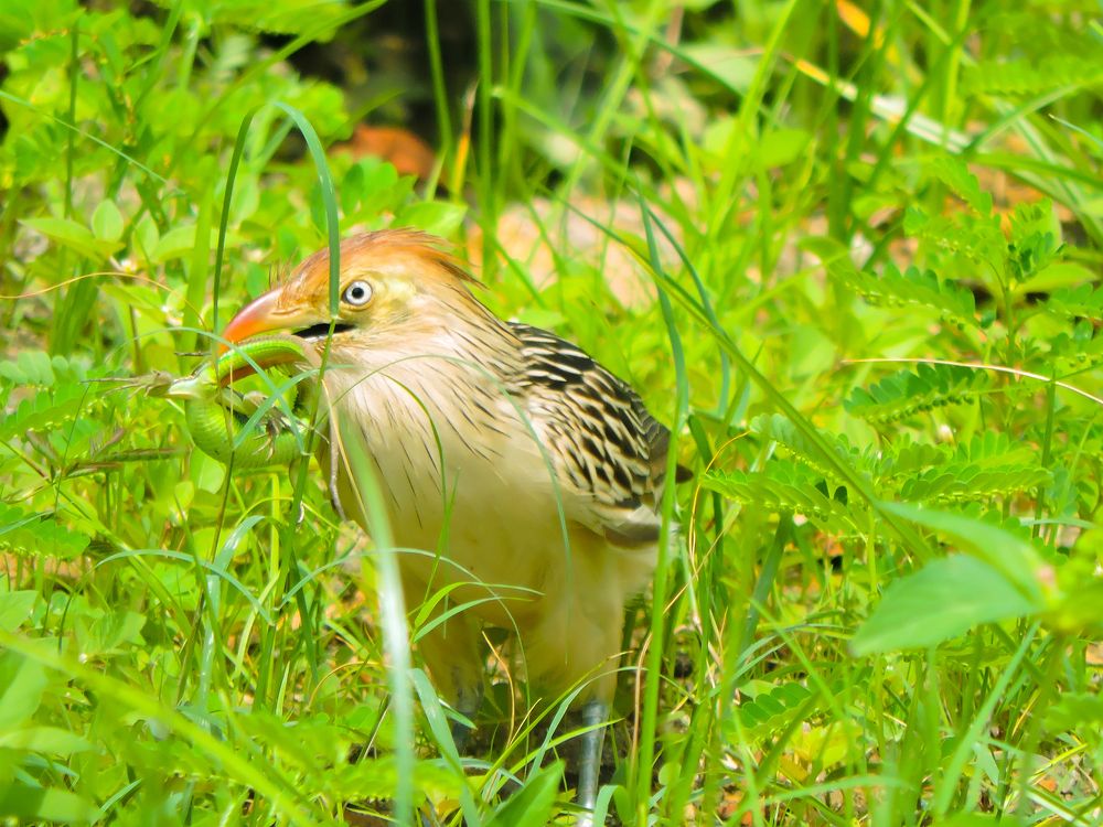 Photograph by Rodrigues Helena