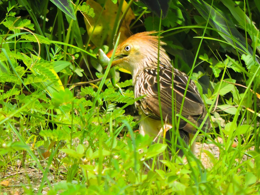 Photograph by Rodrigues Helena