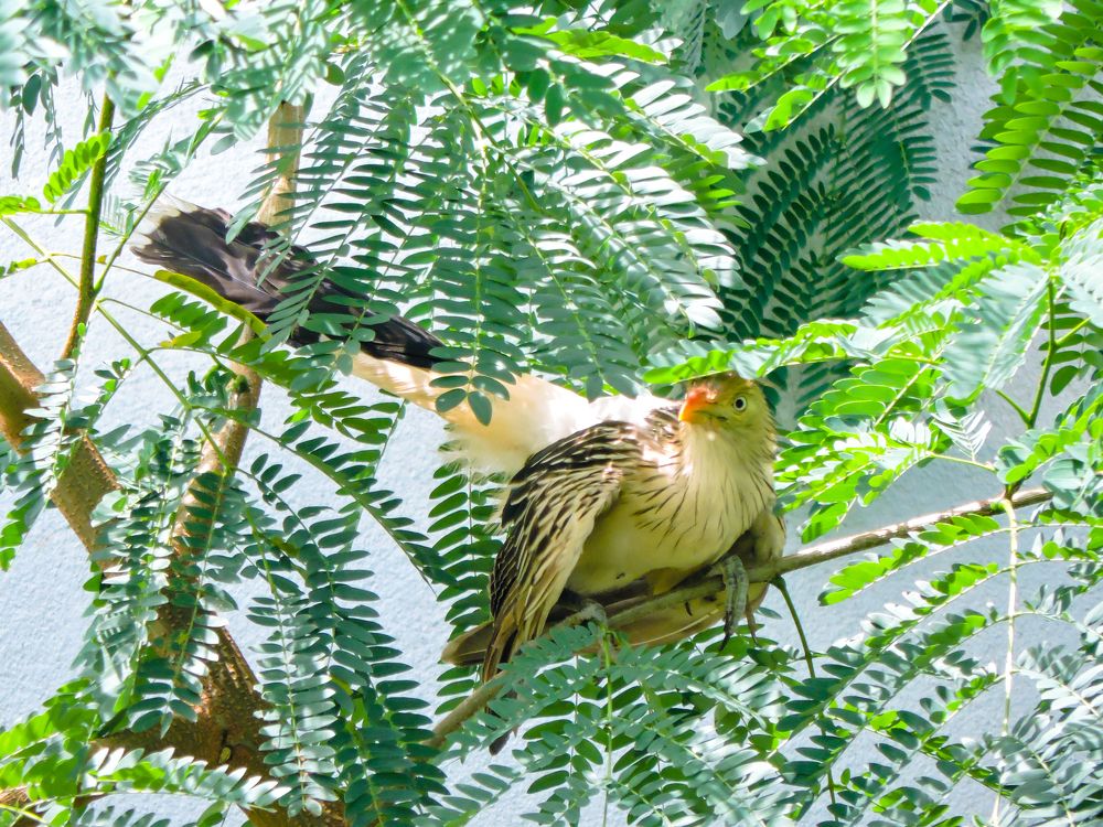 Photograph by Rodrigues Helena