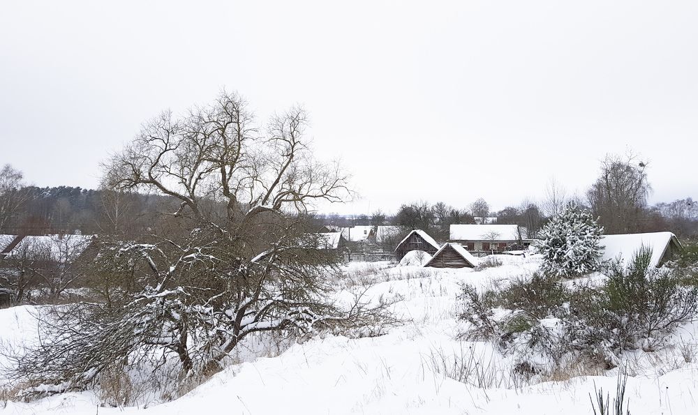 Photograph by Василий Раковец