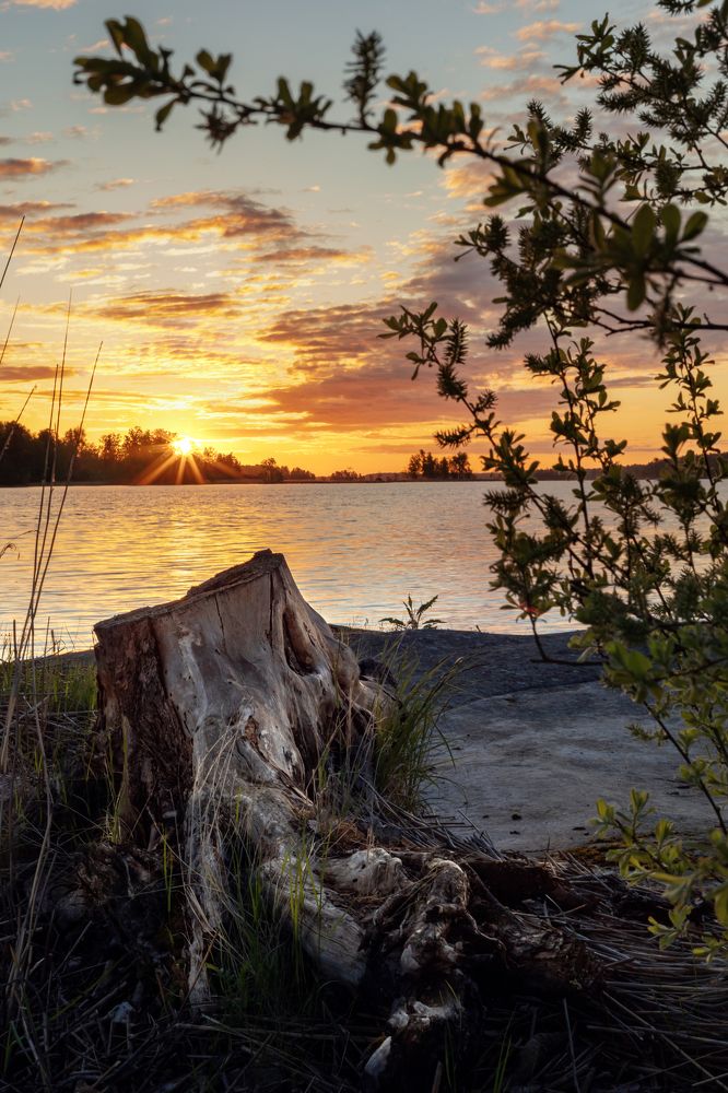 Photograph by Татьяна Тарасова