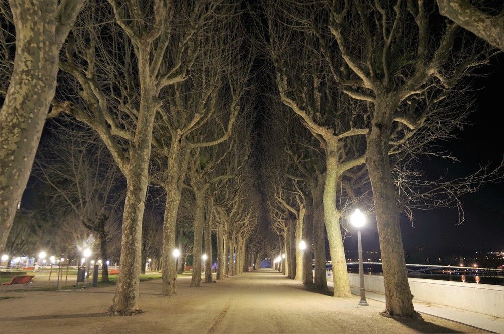 Photograph by Andrei Baburin