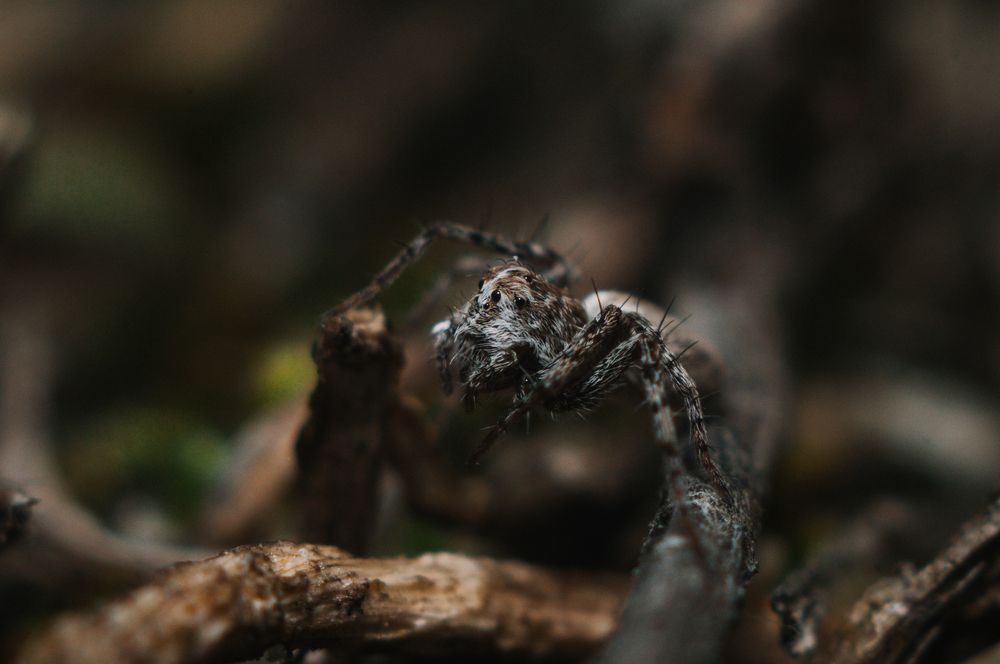 Photograph by Софья Лученкова