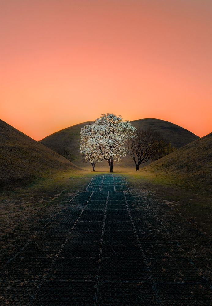 Photograph by Vu Van Minh