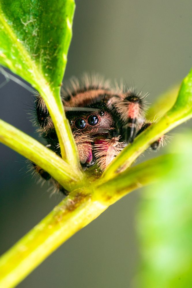 Photograph by Martin Pham