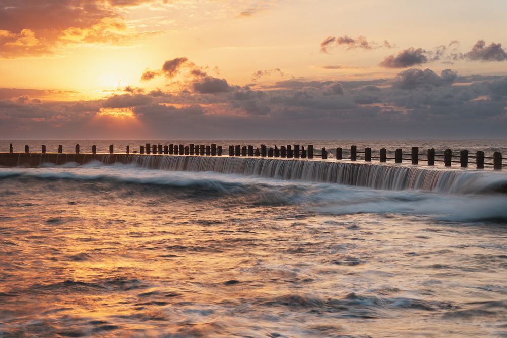 Photograph by Abel Cancino Gutierrez